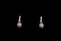 Dragon Blood Jasper Drops