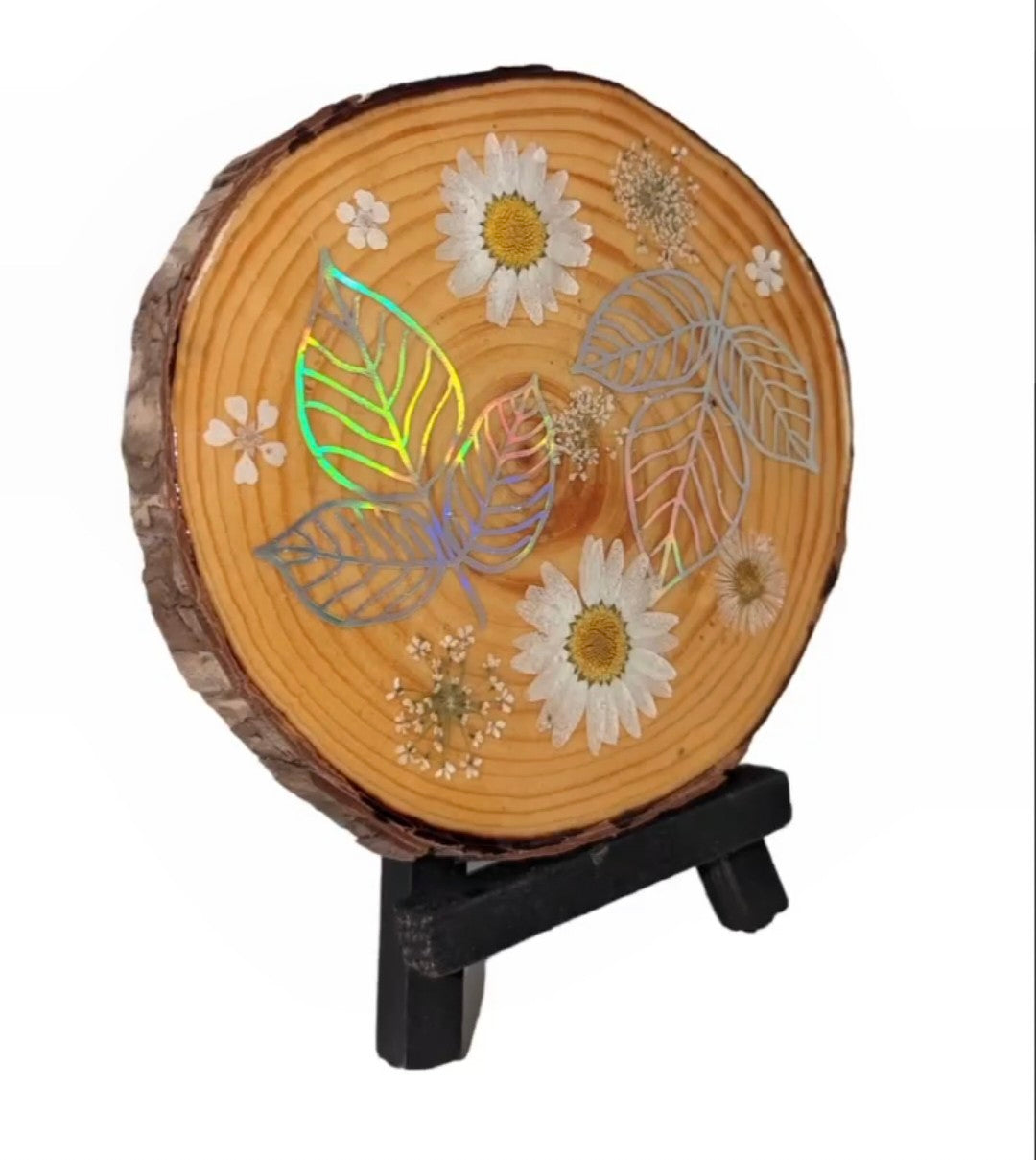 Small Decorative Display